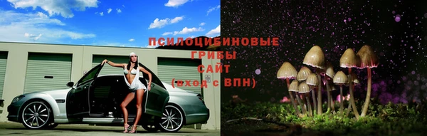 синтетический гашиш Алексеевка