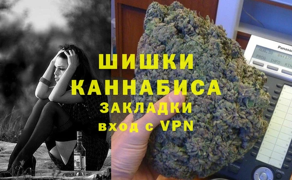 индика Алексин