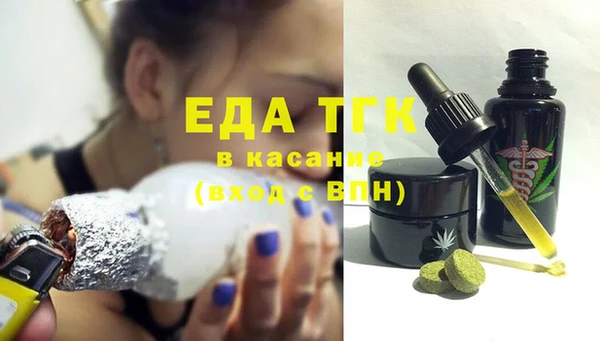 индика Алексин