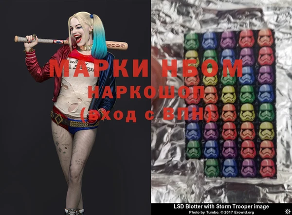 индика Алексин