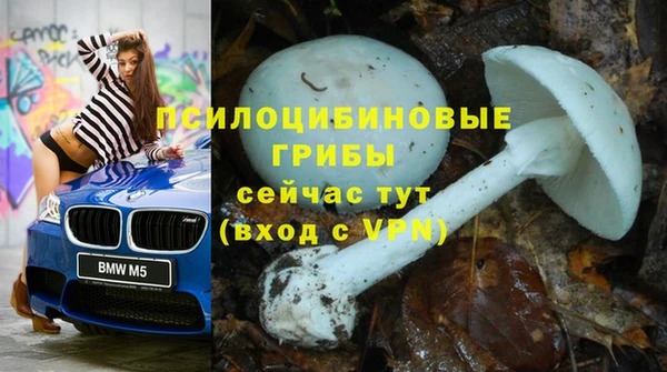 трава Алзамай