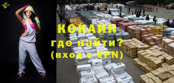 индика Алексин