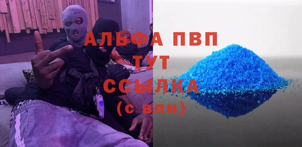 индика Алексин