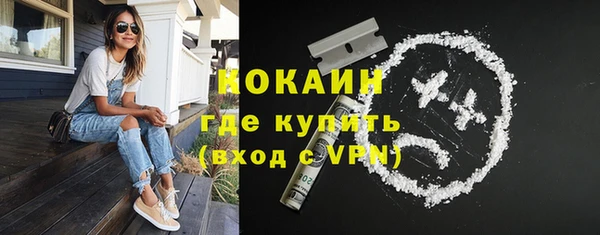 индика Алексин