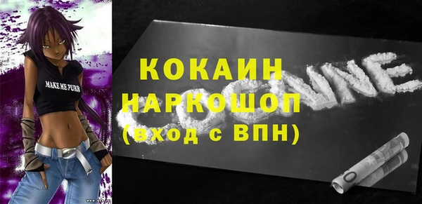 индика Алексин