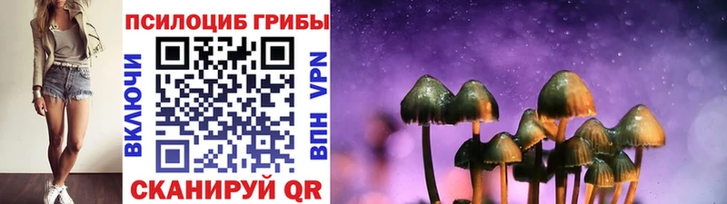 Псилоцибиновые грибы MAGIC MUSHROOMS  купить   Тюмень 