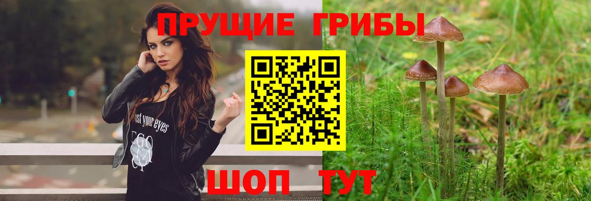 Псилоцибиновые грибы GOLDEN TEACHER  Вход с VPN  Тюмень 